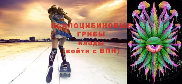 бутират Тайга