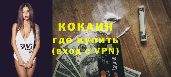 индика Волоколамск