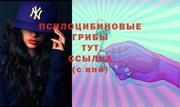 бутират Тайга