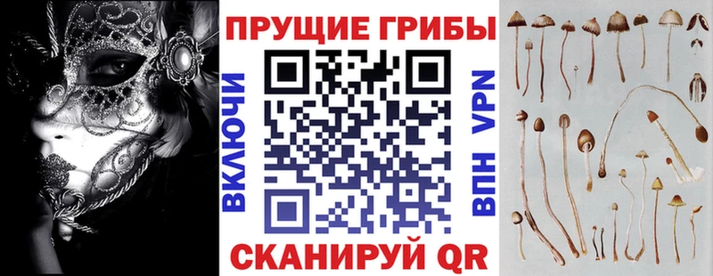 Галлюциногенные грибы Cubensis  ОМГ ОМГ   Полтавская 